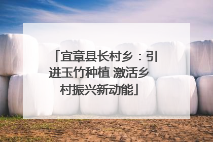 宜章县长村乡：引进玉竹种植 激活乡村振兴新动能