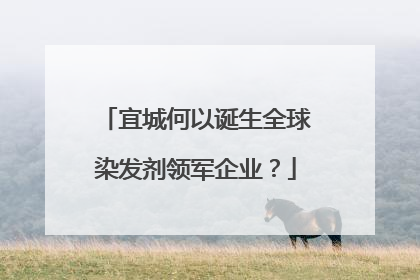 宜城何以诞生全球染发剂领军企业？