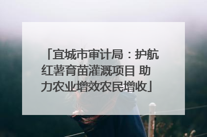 宜城市审计局：护航红薯育苗灌溉项目 助力农业增效农民增收