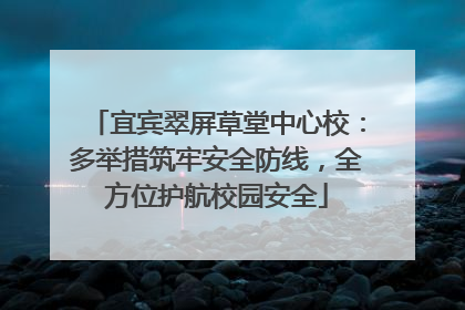 宜宾翠屏草堂中心校：多举措筑牢安全防线，全方位护航校园安全