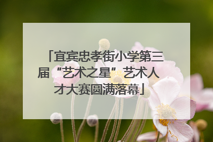 宜宾忠孝街小学第三届“艺术之星”艺术人才大赛圆满落幕