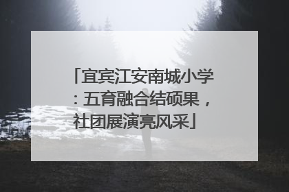 宜宾江安南城小学：五育融合结硕果，社团展演亮风采