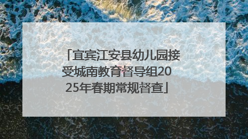 宜宾江安县幼儿园接受城南教育督导组2025年春期常规督查