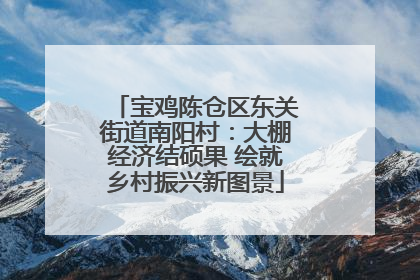 宝鸡陈仓区东关街道南阳村：大棚经济结硕果 绘就乡村振兴新图景