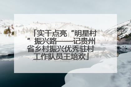 实干点亮“明星村”振兴路——记贵州省乡村振兴优秀驻村工作队员王培欢