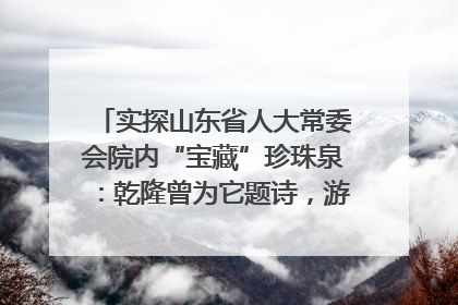 实探山东省人大常委会院内“宝藏”珍珠泉：乾隆曾为它题诗，游客无需预约免费游览