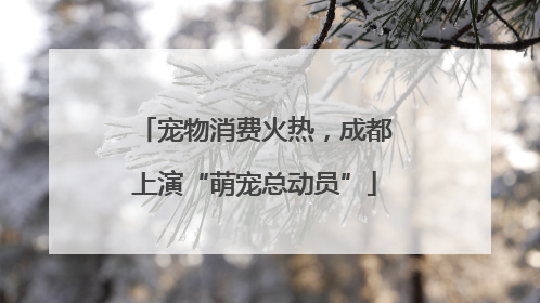 宠物消费火热，成都上演“萌宠总动员”