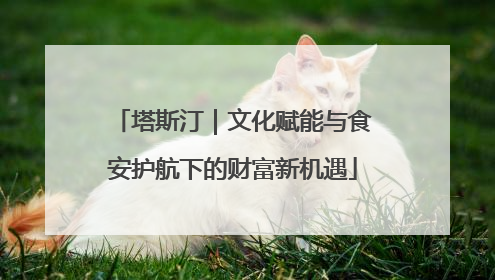 塔斯汀｜文化赋能与食安护航下的财富新机遇