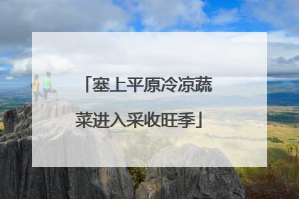 塞上平原冷凉蔬菜进入采收旺季