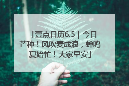 壹点日历6.5｜今日芒种！风吹麦成浪，蝉鸣夏始忙！大家早安