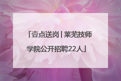 壹点送岗│莱芜技师学院公开招聘22人