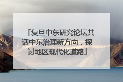 复旦中东研究论坛共话中东治理新方向，探讨地区现代化道路