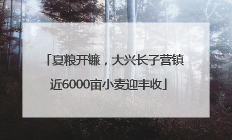 夏粮开镰，大兴长子营镇近6000亩小麦迎丰收