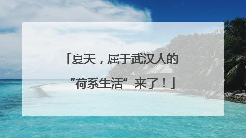 夏天，属于武汉人的“荷系生活”来了！