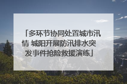 多环节协同处置城市汛情 城阳开展防汛排水突发事件抢险救援演练