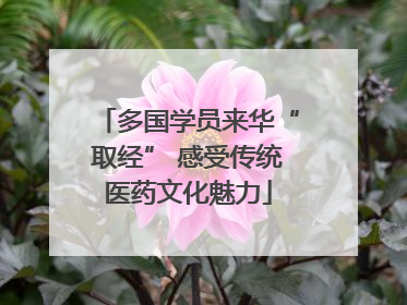多国学员来华“取经” 感受传统医药文化魅力