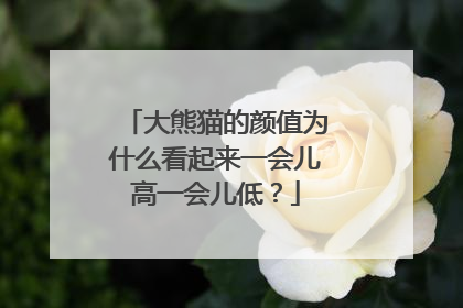 大熊猫的颜值为什么看起来一会儿高一会儿低？