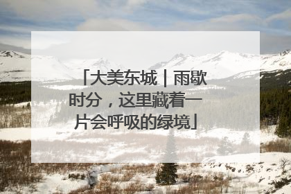 大美东城｜雨歇时分，这里藏着一片会呼吸的绿境