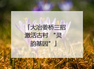 大冶姜桥三招激活古村 “灵韵基因”
