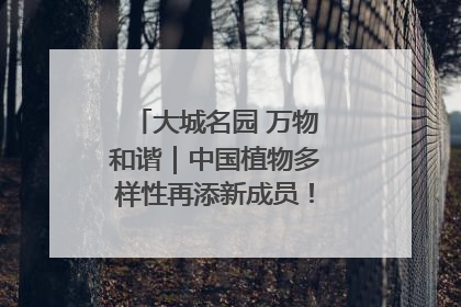 大城名园 万物和谐｜中国植物多样性再添新成员！它只在西藏墨脱