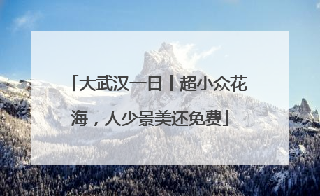 大武汉一日丨超小众花海，人少景美还免费