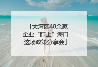 大湾区40余家企业“盯上”海口这场政策分享会