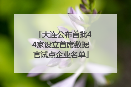 大连公布首批44家设立首席数据官试点企业名单
