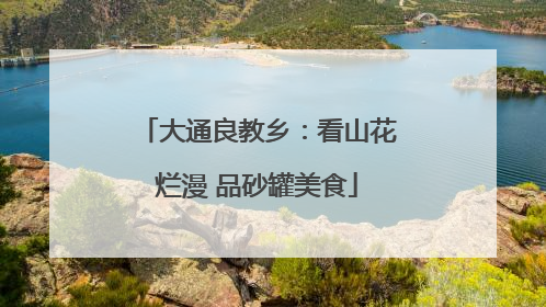 大通良教乡：看山花烂漫 品砂罐美食