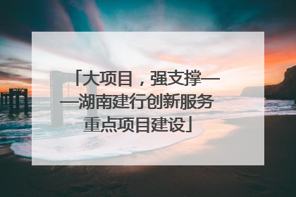大项目，强支撑——湖南建行创新服务重点项目建设