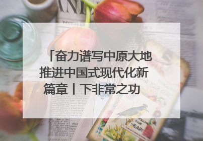 奋力谱写中原大地推进中国式现代化新篇章丨下非常之功 战非常“三夏”