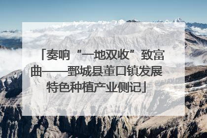 奏响“一地双收”致富曲——鄄城县董口镇发展特色种植产业侧记