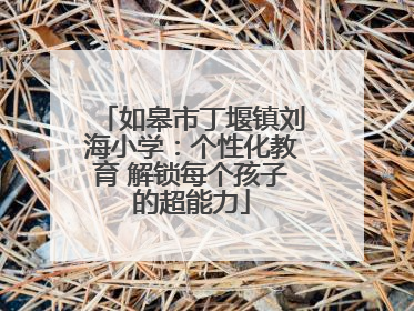 如皋市丁堰镇刘海小学：个性化教育 解锁每个孩子的超能力