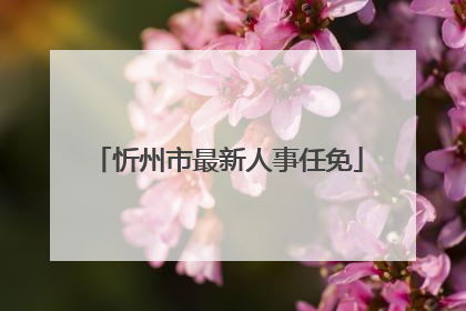 忻州市最新人事任免