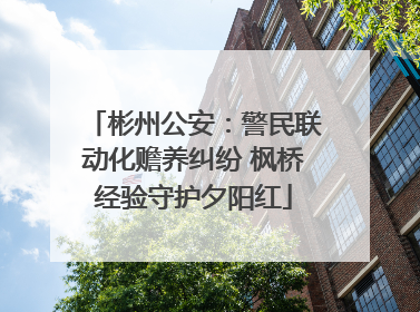 彬州公安：警民联动化赡养纠纷 枫桥经验守护夕阳红