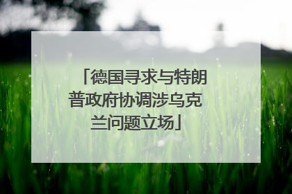 德国寻求与特朗普政府协调涉乌克兰问题立场