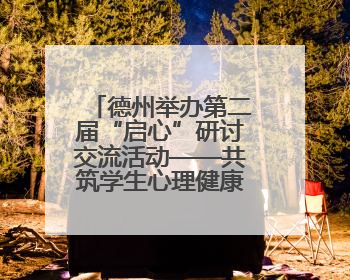 德州举办第二届“启心”研讨交流活动——共筑学生心理健康防护网