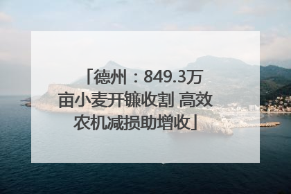 德州：849.3万亩小麦开镰收割 高效农机减损助增收