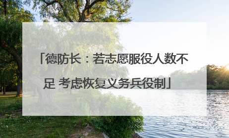 德防长：若志愿服役人数不足 考虑恢复义务兵役制