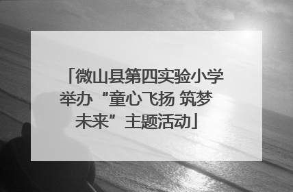 微山县第四实验小学举办“童心飞扬 筑梦未来”主题活动