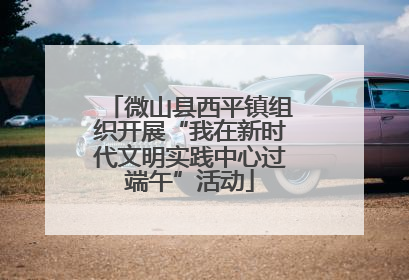 微山县西平镇组织开展“我在新时代文明实践中心过端午”活动