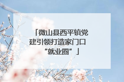 微山县西平镇党建引领打造家门口“就业圈”