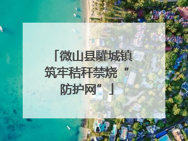 微山县驩城镇筑牢秸秆禁烧“防护网”