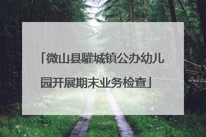 微山县驩城镇公办幼儿园开展期末业务检查
