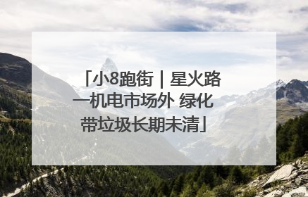 小8跑街｜星火路一机电市场外 绿化带垃圾长期未清