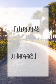 山丹丹花开拥军路