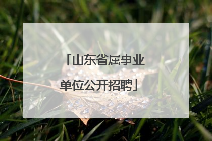 山东省属事业单位公开招聘