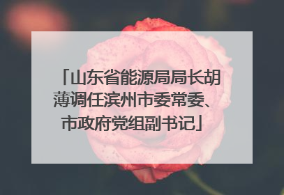 山东省能源局局长胡薄调任滨州市委常委、市政府党组副书记