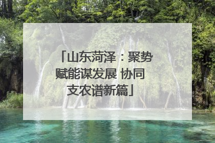 山东菏泽：聚势赋能谋发展 协同支农谱新篇