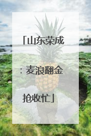 山东荣成：麦浪翻金抢收忙