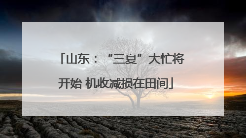 山东：“三夏”大忙将开始 机收减损在田间